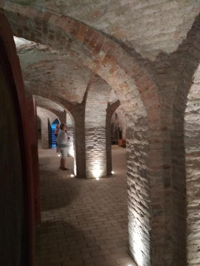 Golya Vendeghaz Daire Tiszaug Dış mekan fotoğraf