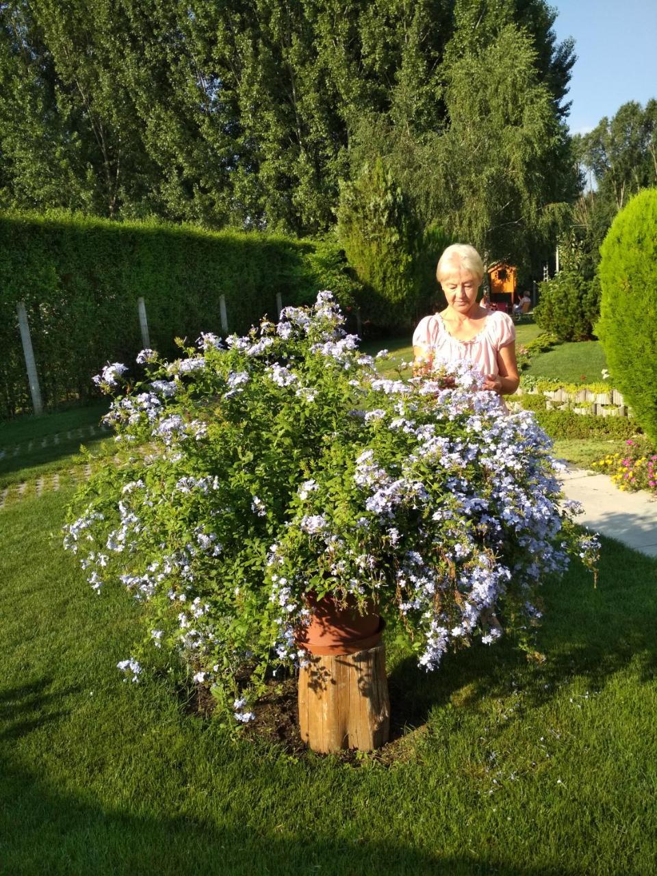 Golya Vendeghaz Daire Tiszaug Dış mekan fotoğraf